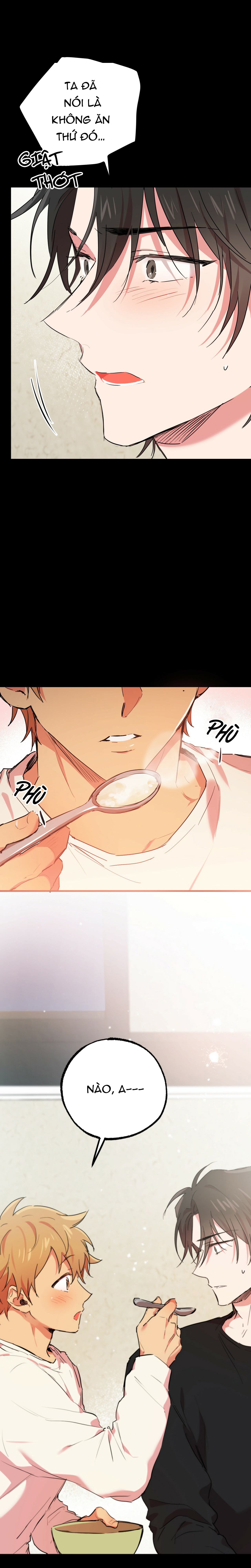 những chú thỏ của hapypy chapter 14 21