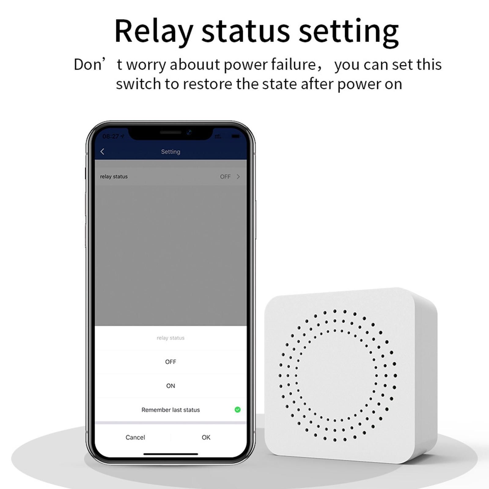 APP Control smart Switch voice Control 10A for Tuya WIFI