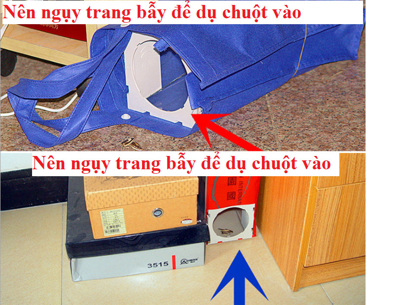 Bẫy chuột lồng thông minh, không giết chuột