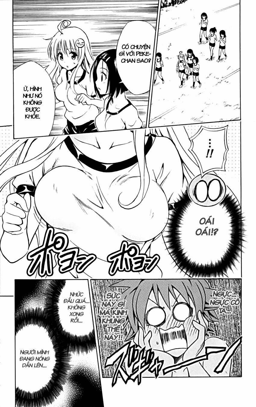 bọn tớ thích cậu! rito chapter 153 19