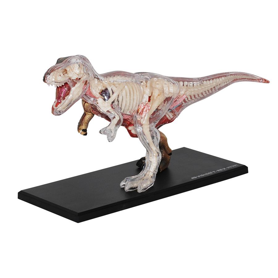 Đồ Chơi Mô Hình Giải Phẫu 4D - Khủng Long T-Rex 4D Master 622013