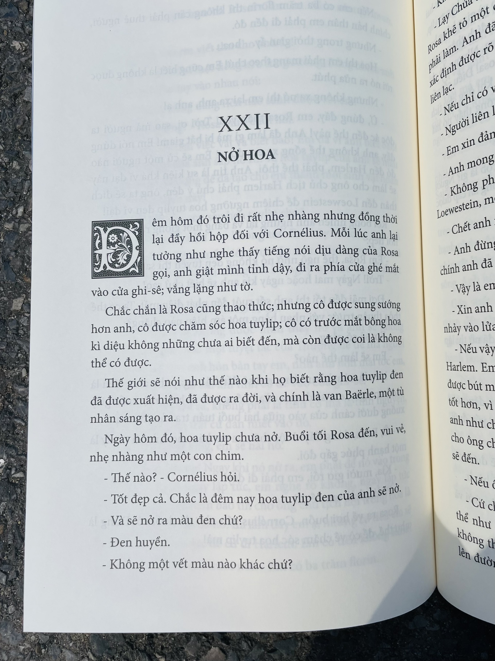 HOA TUYLIP ĐEN - Alexandre Dumas cha - Mai Thế Sang dịch - Đông A – Nxb Văn học (Bìa mềm)