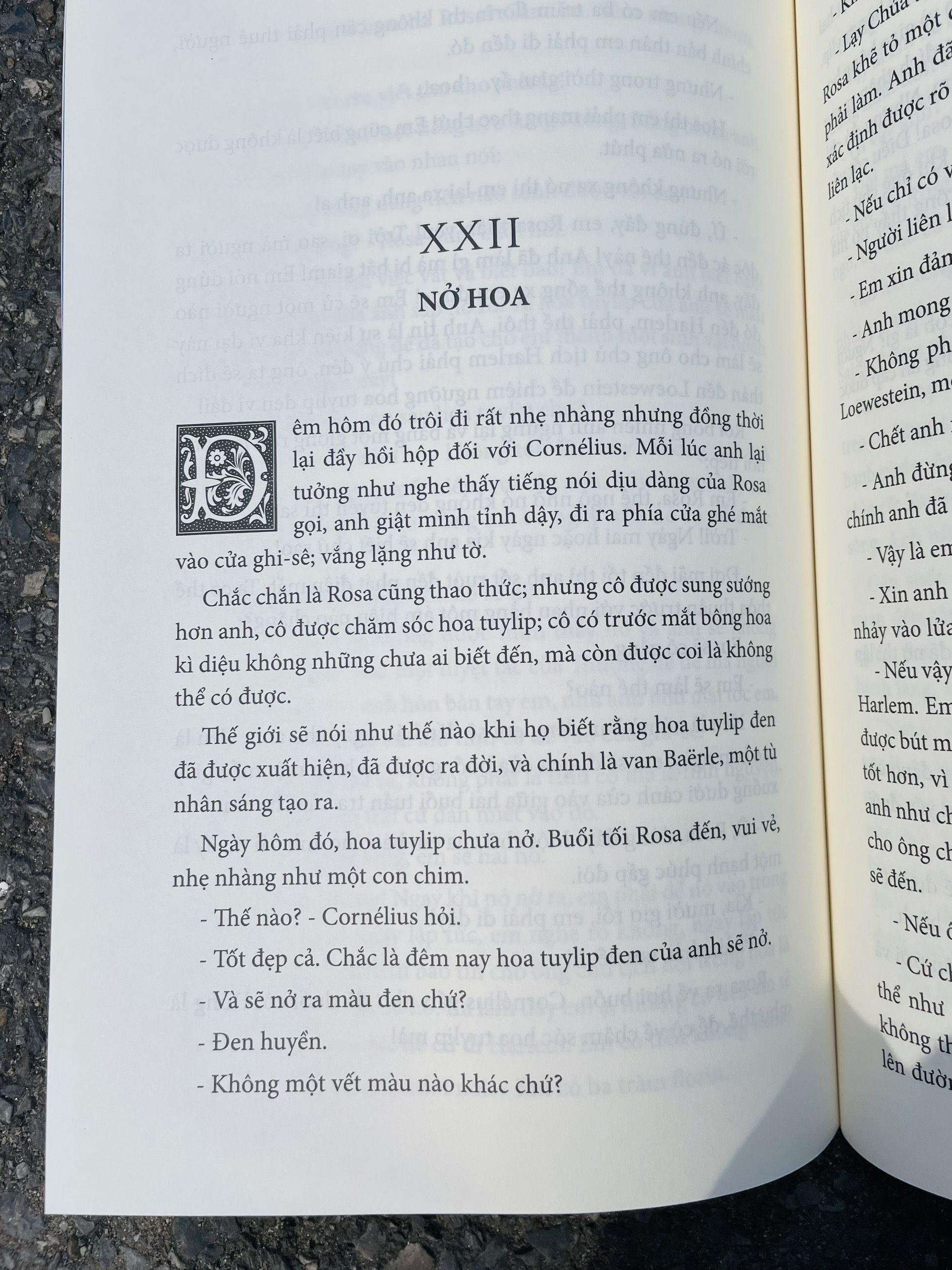 HOA TUYLIP ĐEN - Alexandre Dumas cha - Mai Thế Sang dịch - Đông A – Nxb Văn học