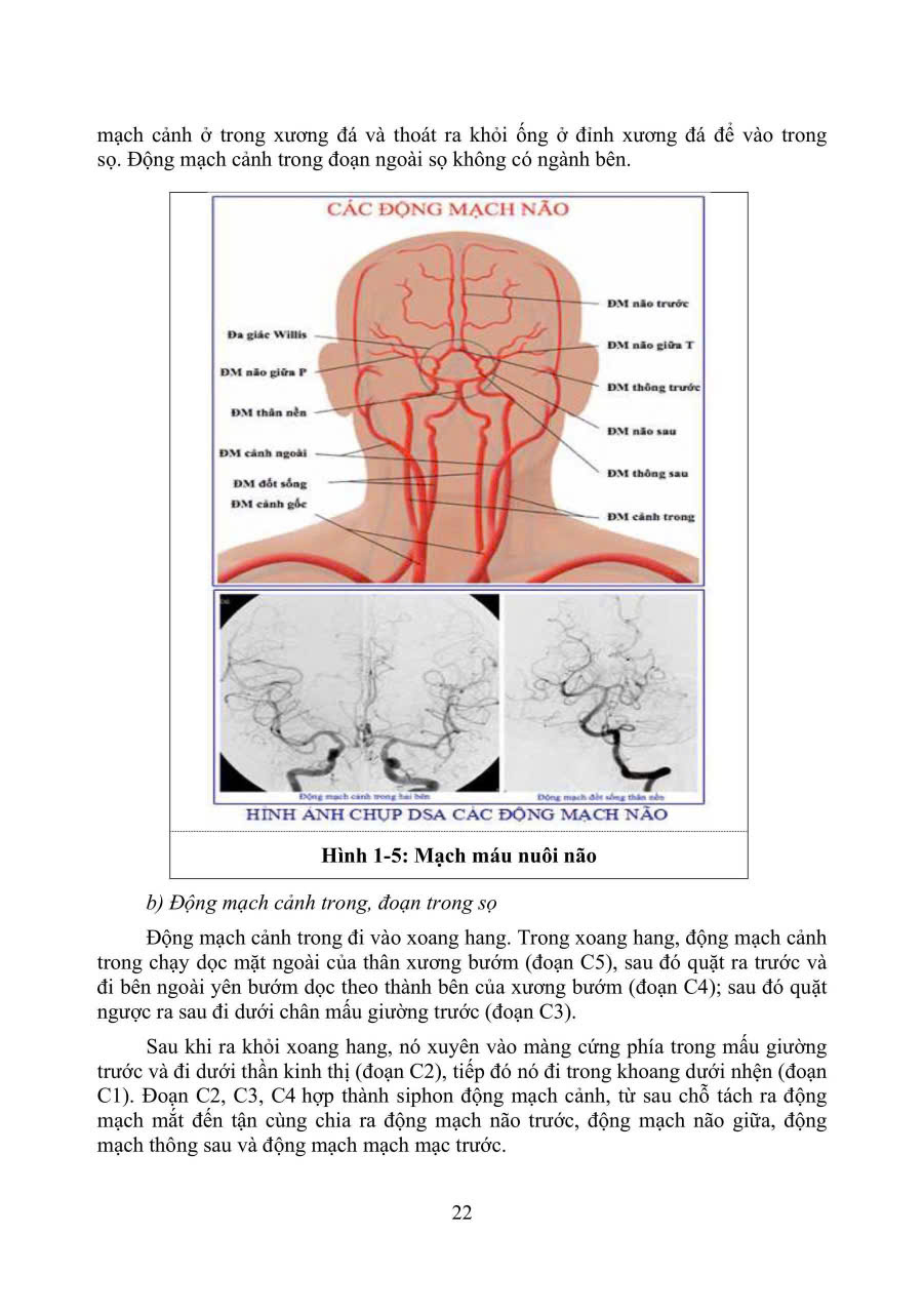 Sách - PHỤC HỒI CHỨC NĂNG CHẤN THƯƠNG NÃO