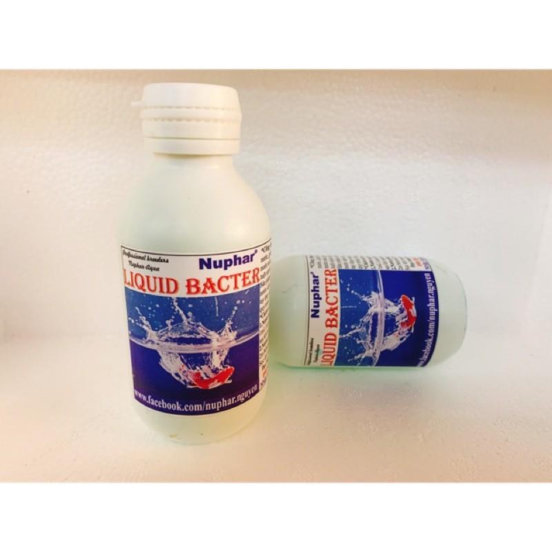 Khử nước Nuphar Liquid Bacter – Dung dịch chống sốc nước cho cá