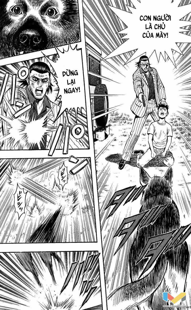 animal sense chapter 13 18