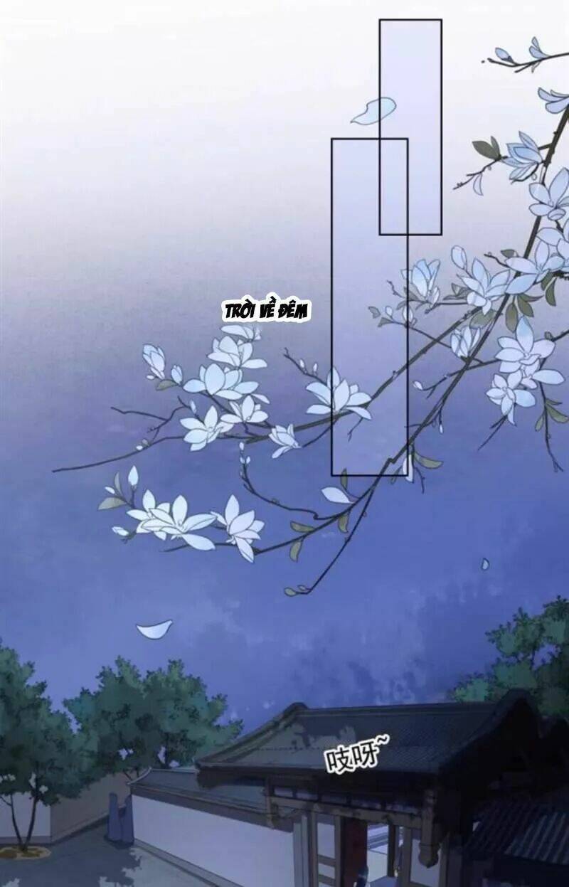 sủng phi của vương chapter 143 5