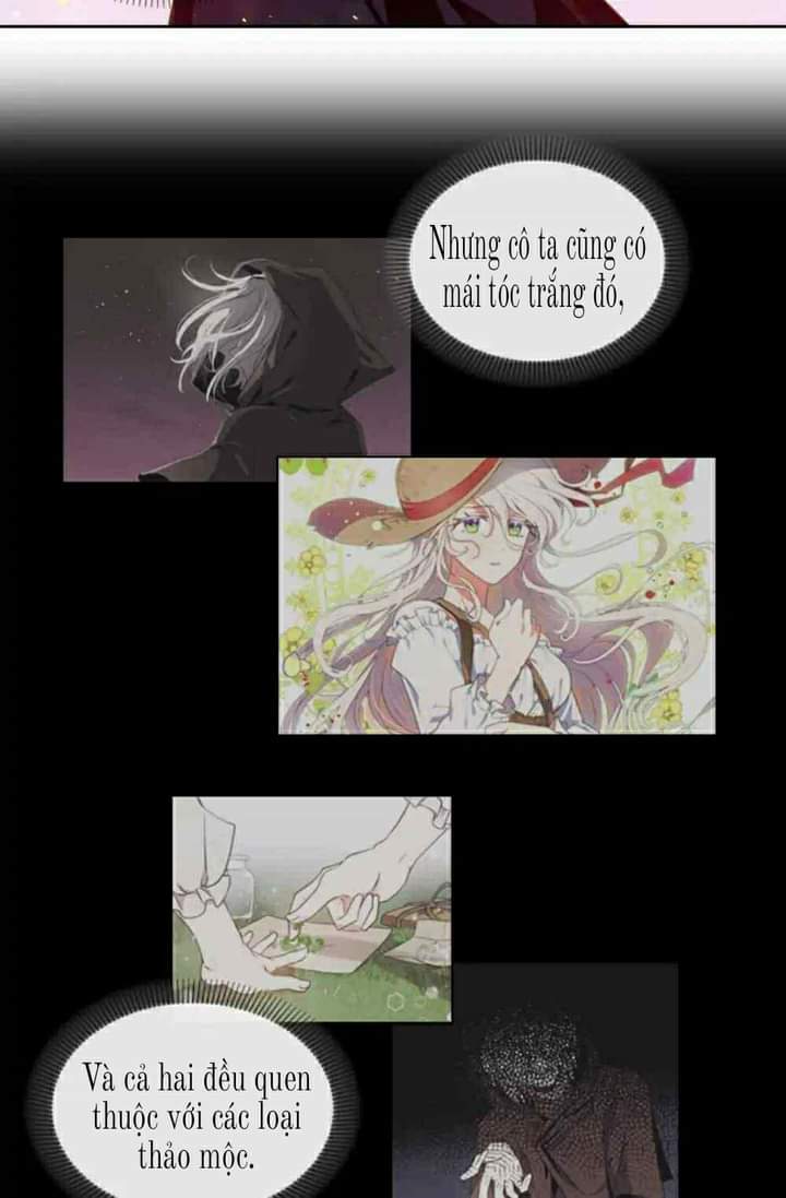 a witch’s hopeless wish chapter 3 51