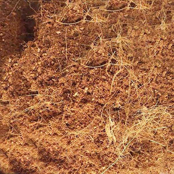 Túi 1kg xơ dừa trồng cây và ươm hạt