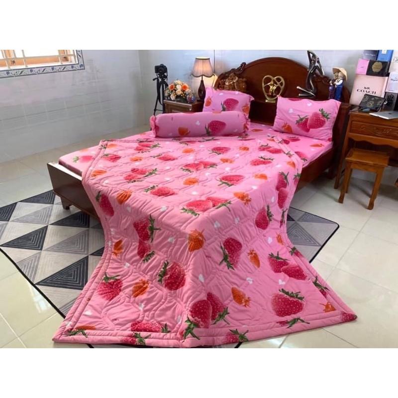 Bộ drap ga thun lạnh Hàn quốc 4 món chất đẹp