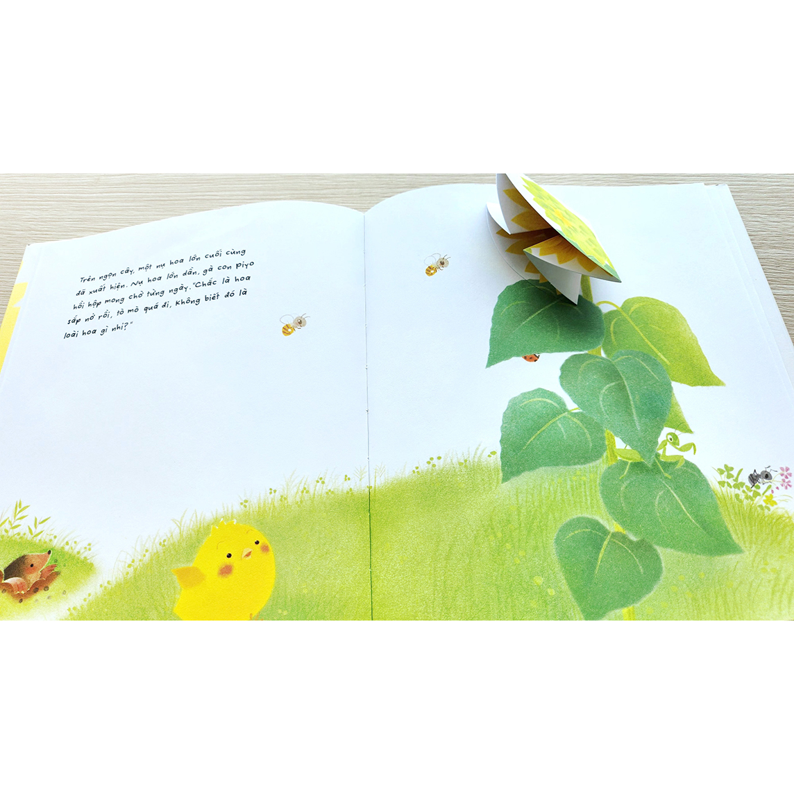 Sách Gà con và hoa hướng dương