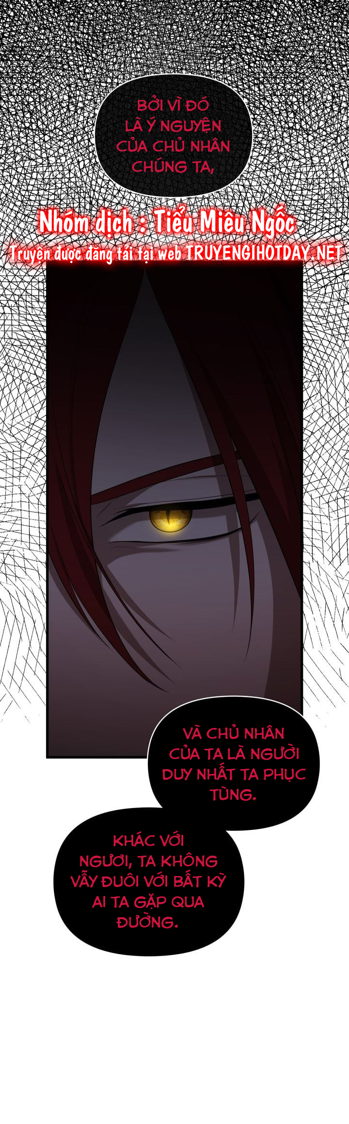 màn đêm tối của adeline chapter 71 11