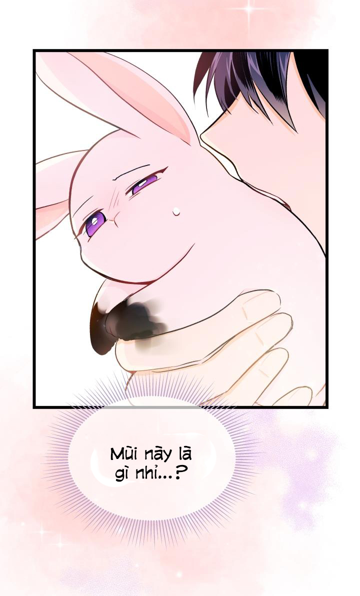 mối liên kết giữa báo đen và bé thỏ chapter 10 62