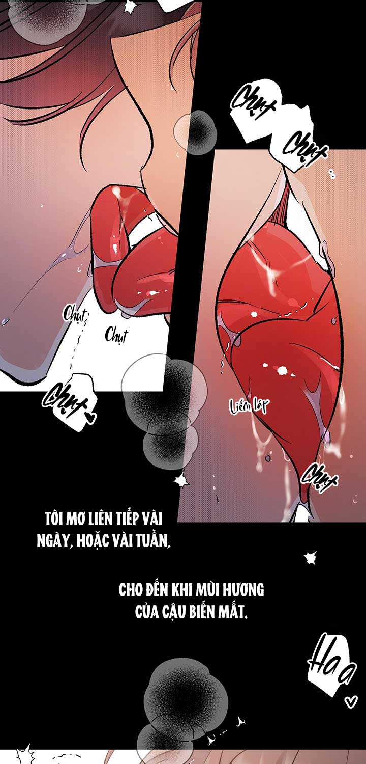 vì sao sa vào vũ trụ chapter 8 19