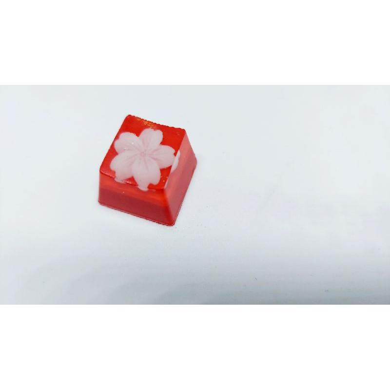 Keycap hoa đào trắng nền đỏ trang trí bàn phím cơ gaming