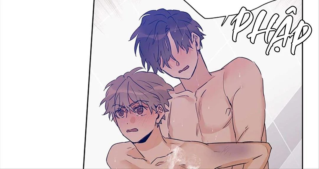 guide cấp b chapter 29 42