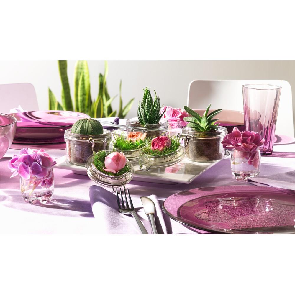 Đĩa thủy tinh Hya Purple 20-23 tím