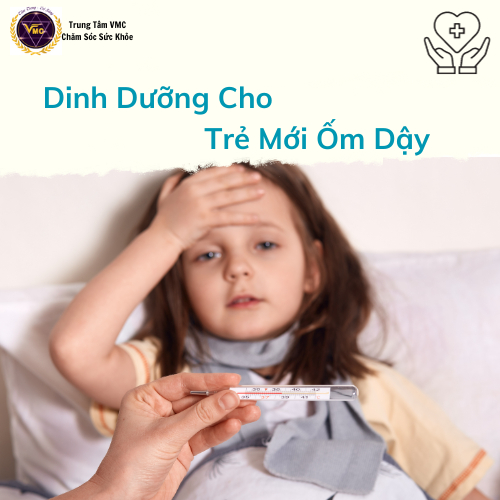 Khóa Học Video Online Chế Độ Dinh Dưỡng Cho Trẻ Mới Ốm Dậy - Trung Tâm Chăm Sóc Sức Khỏe VMC