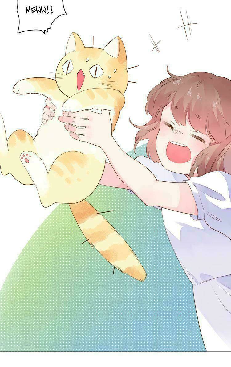 dolo mệnh vận giao nang chapter 37 95