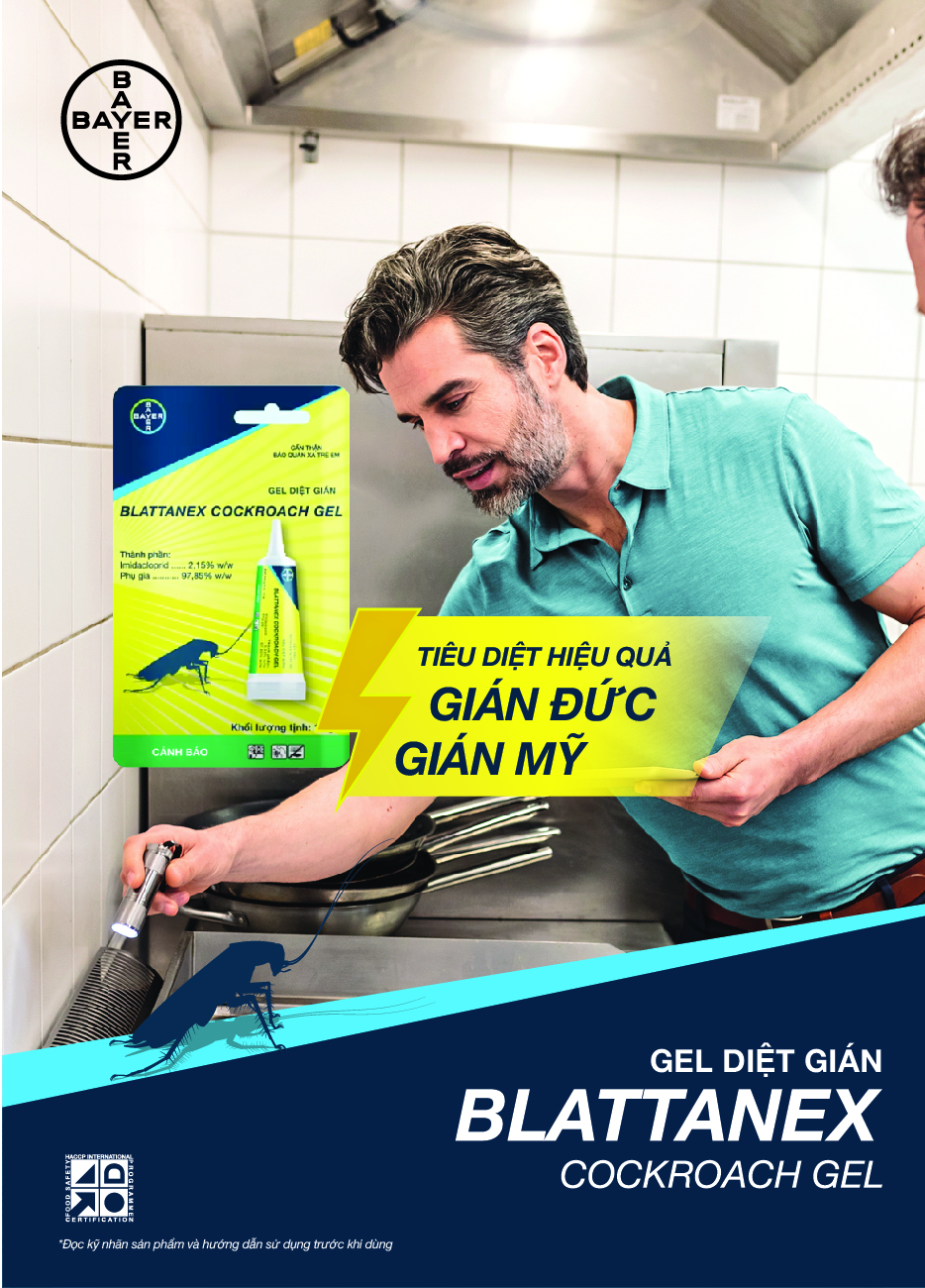 Gel Diệt Gián Blattanex Chính Hãng