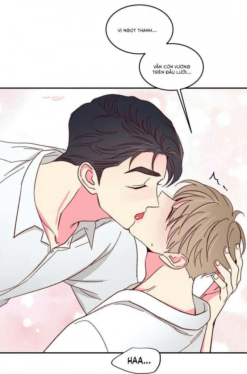 món tráng miệng của sếp tổng chapter 50 42