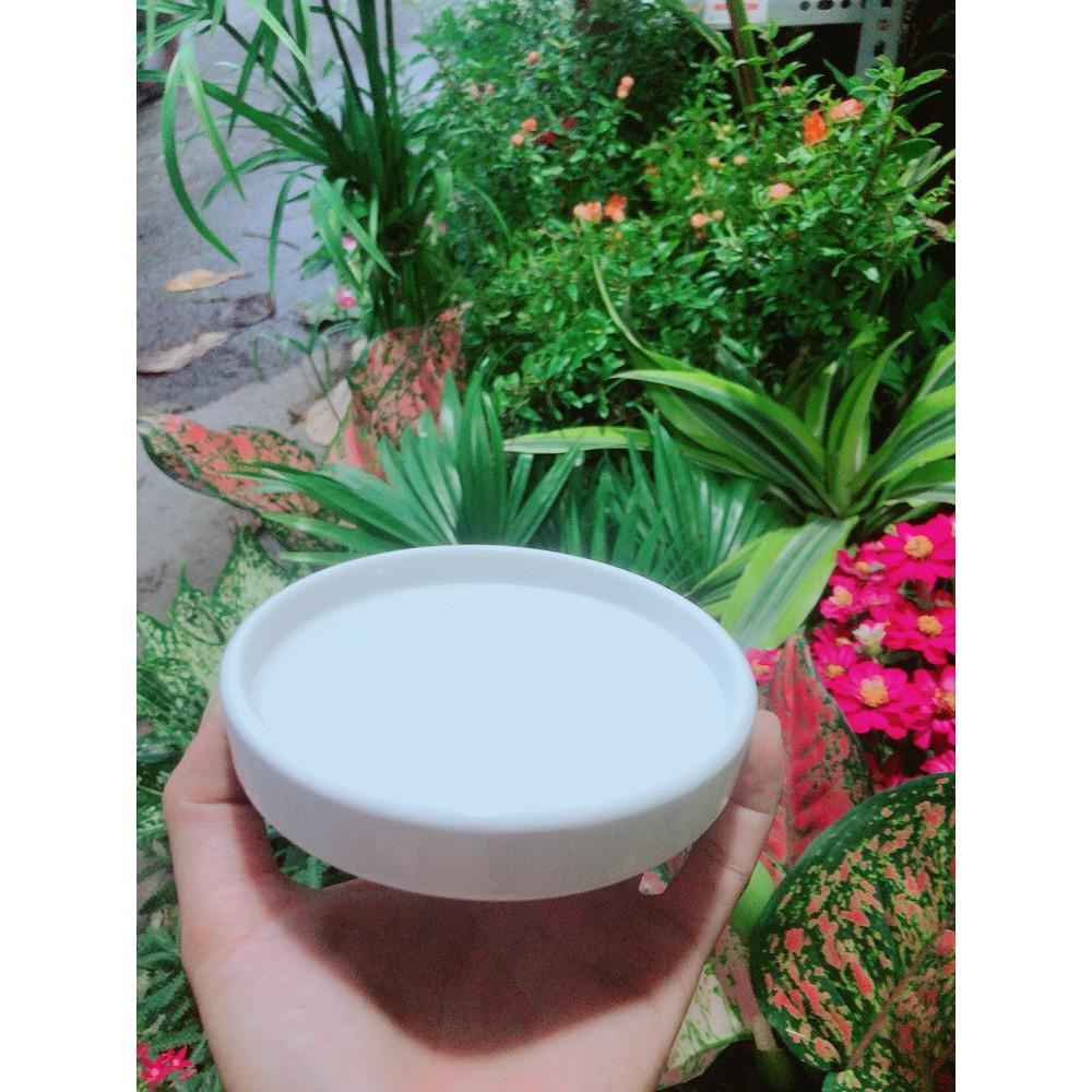 Đĩa Lót Chậu