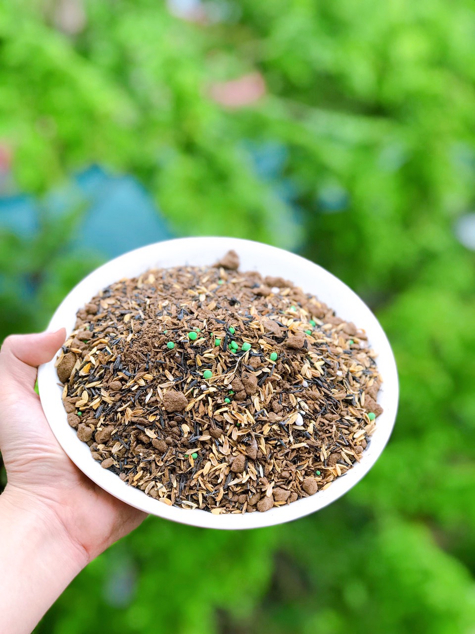 Đất trồng cây cảnh , chuyên dụng cho cây xanh lá , khoẻ mạnh , tươi tốt khối lượng 1kg