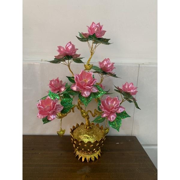 Chậu hoa sen cao 35cm