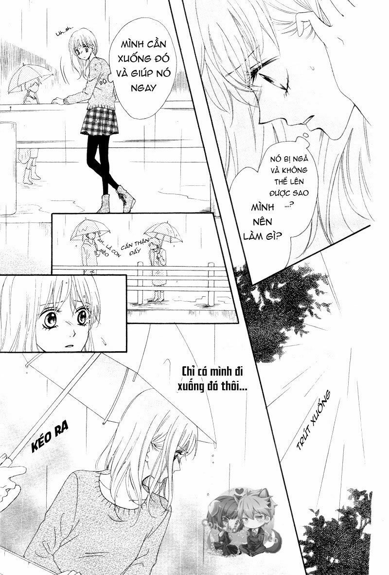 koi ni naranai wake ga nai chapter 1 28