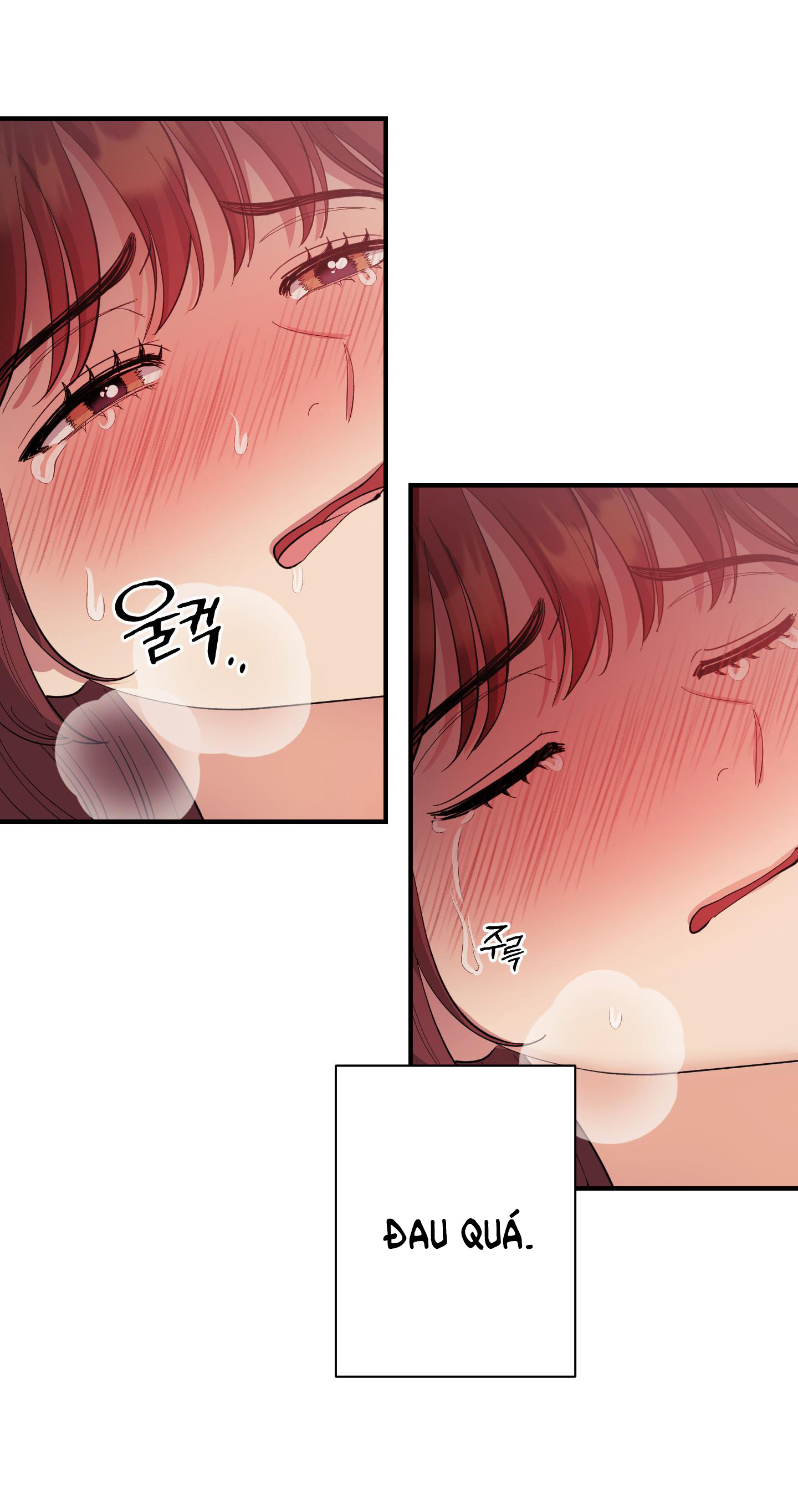 [18+] một lòng một dạ chapter 31.2 6