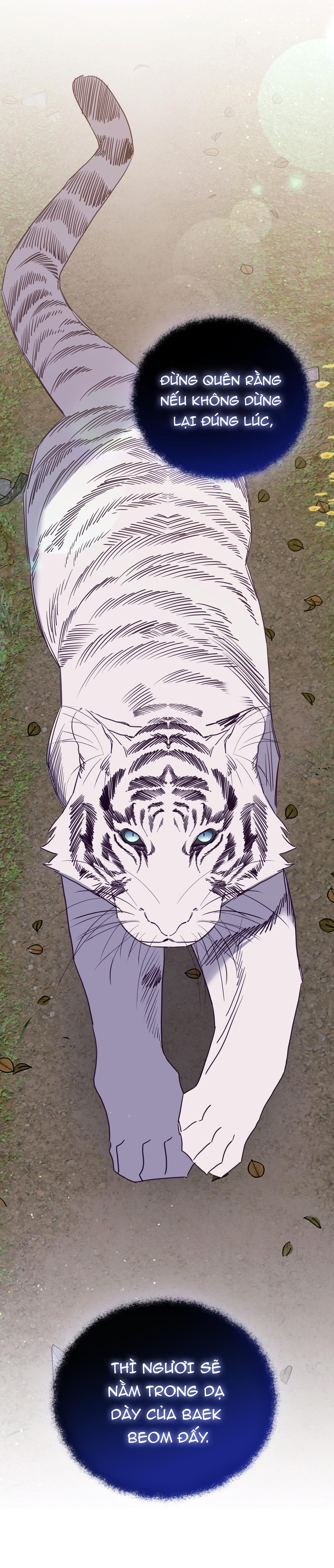 hổ trở về chapter 42 11