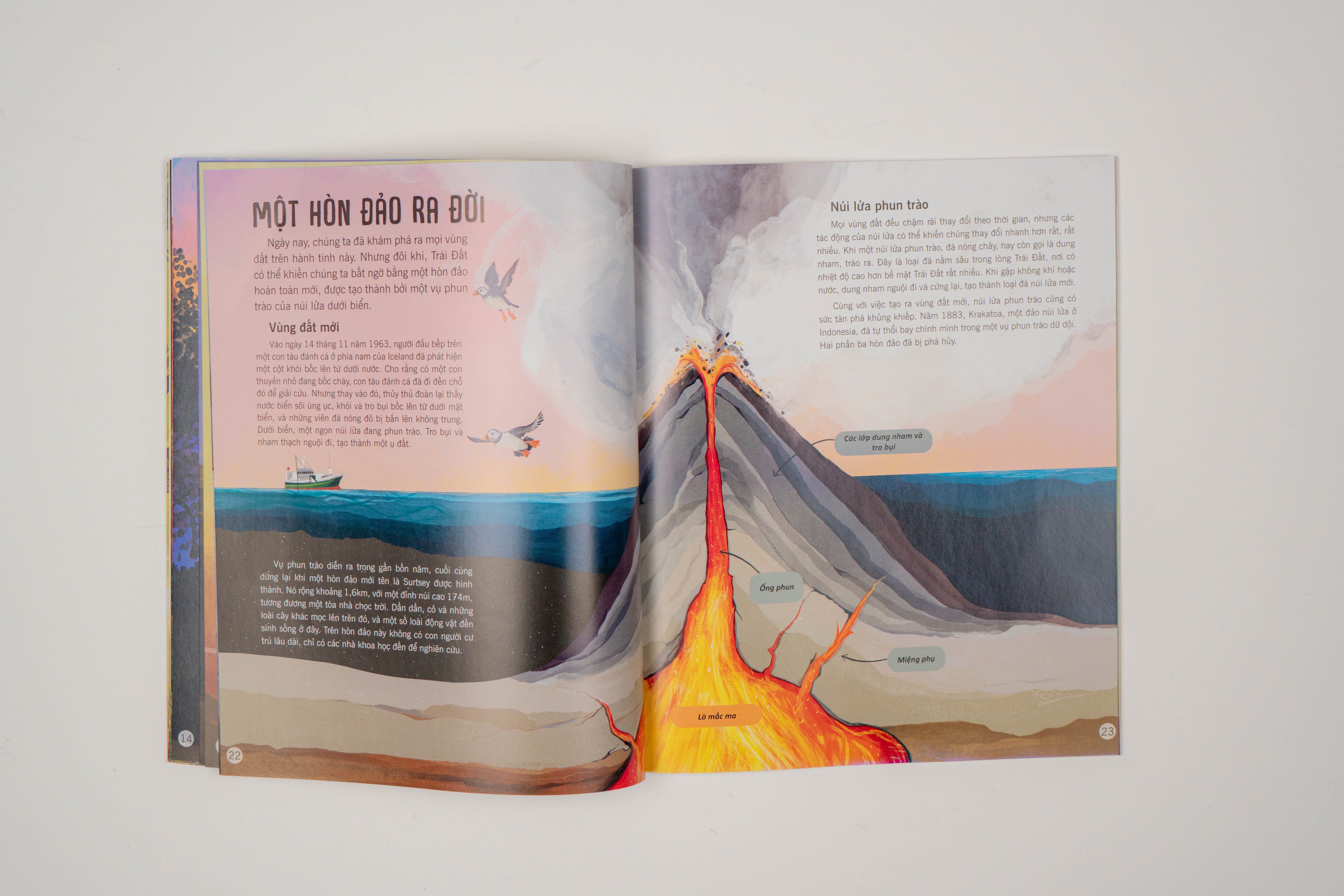 Sách - Vạn vật biến đổi - Bách khoa tri thức cho trẻ từ 6 - 12 tuổi - Đinh Tị Books