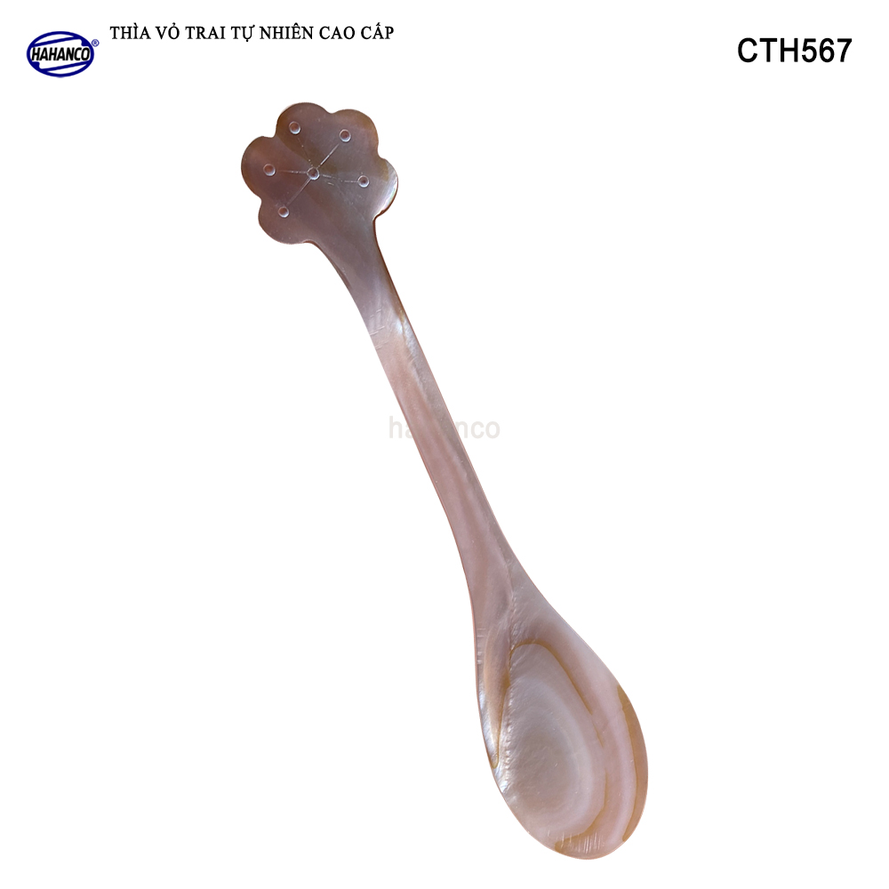 Muỗng Cà Phê Gia Vị Bằng Xà Cừ Tiêu Chuẩn Xuất Khẩu - HAHANCO - CTH567