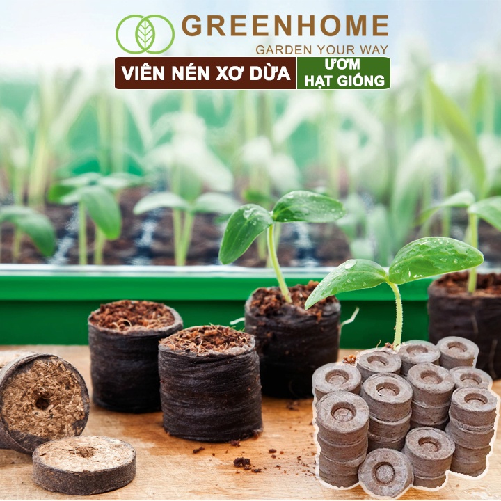 Viên Nén Xơ Dừa Greenhome, Ươm Hạt Giống, Ươm Cây Con Tiện Lợi, Đầy Đủ Dinh Dưỡng, Cây Phát Triển Nhanh