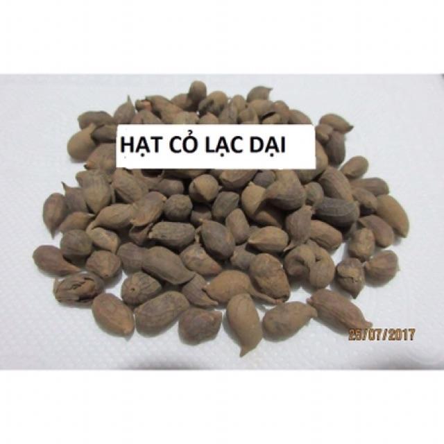 Hạt cỏ thảm lạc dại - gói 100g