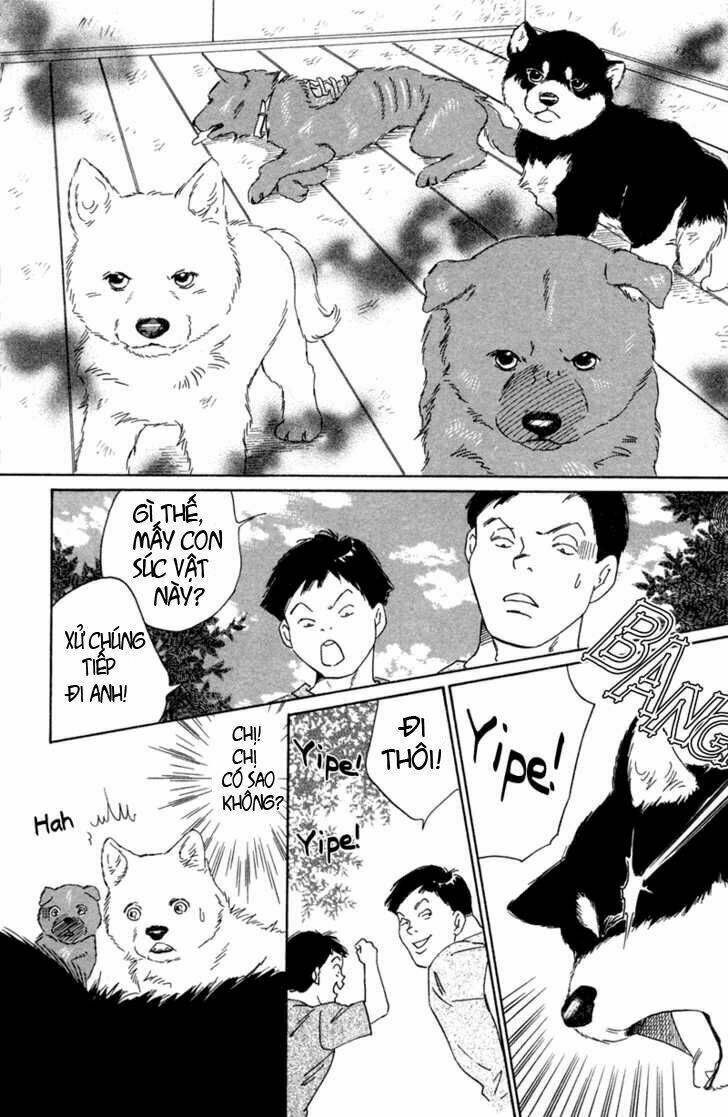 deep love - pao no monogatari chapter 1 31