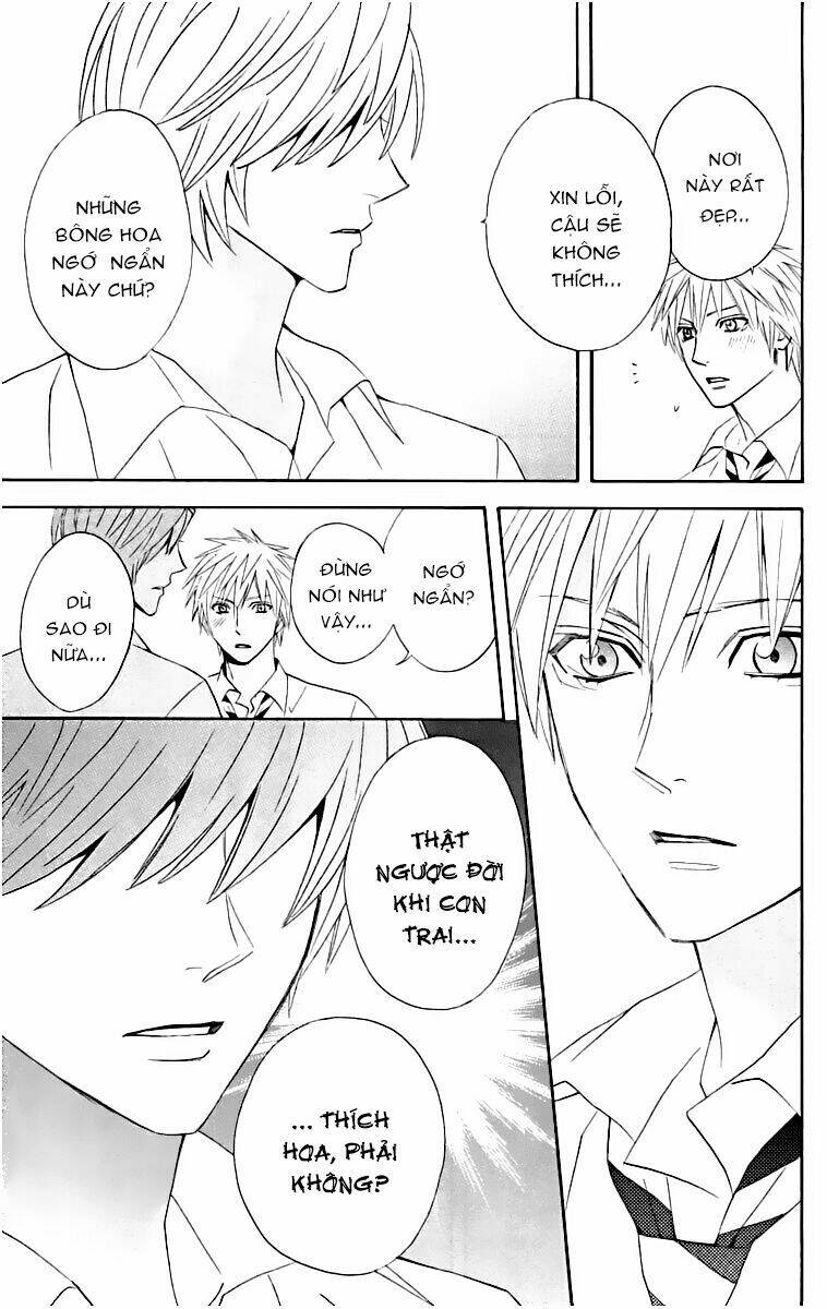 chàng trai hoàn hảo chapter 14 12