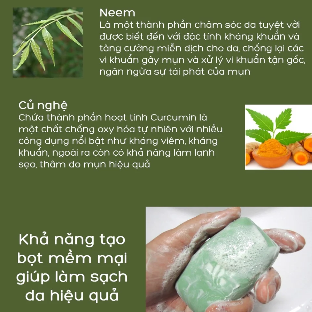 Combo 6 Hộp Xà Phòng Thiên Nhiên Himalaya Neem Và Nghệ Tây Bảo Vệ Da (75g / Hộp)