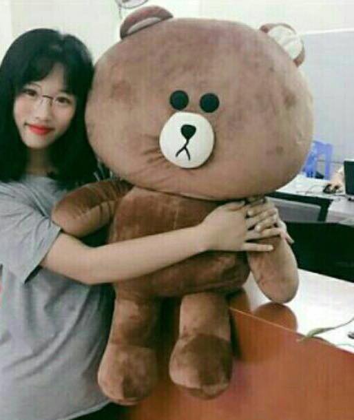 Gấu bông brown khổ vải 1m