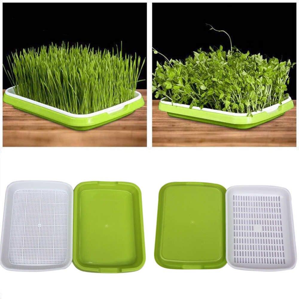 Bộ 2 Khay trồng rau mầm thuỷ canh chuyên dụng và 1 gói hạt rau mầm