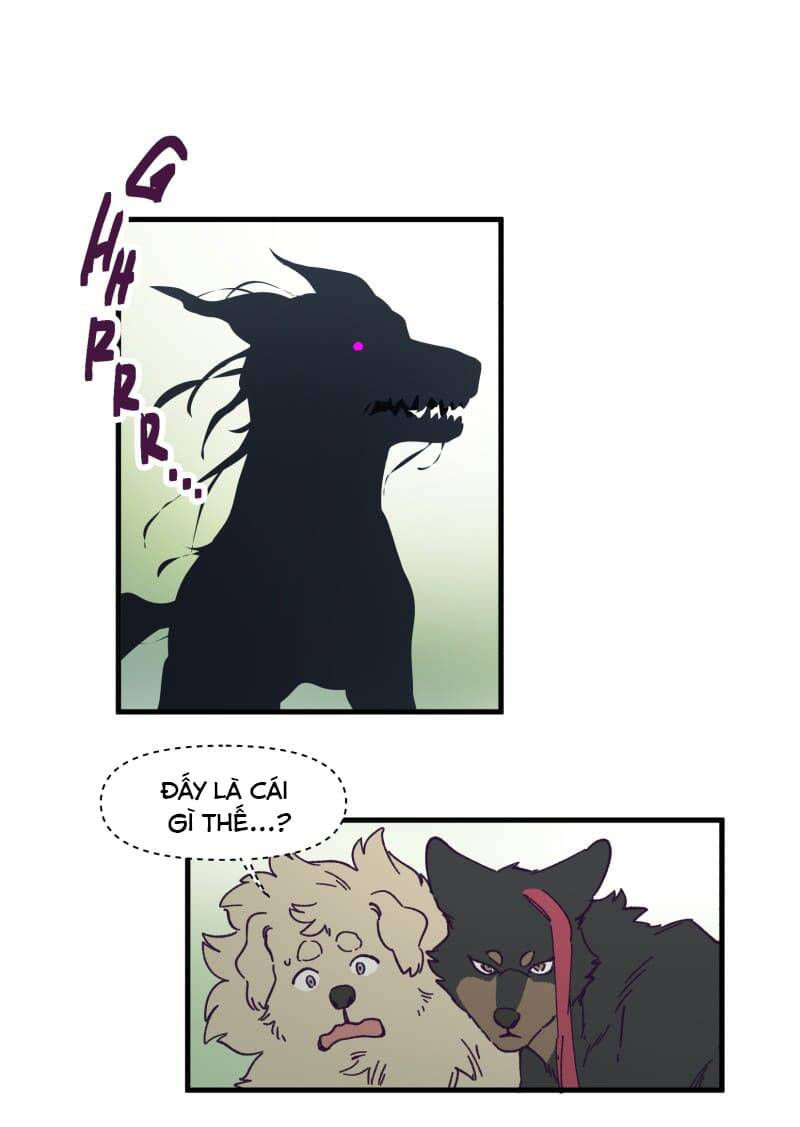 lumine - cội nguồn ánh sáng chapter 142 16