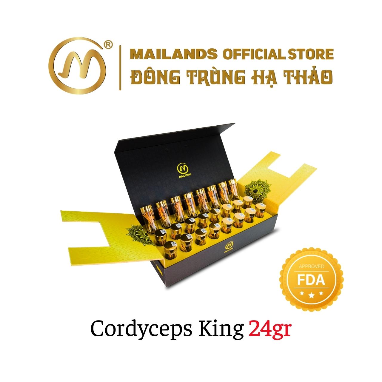 Đông Trùng Hạ Thảo Cordyceps KING