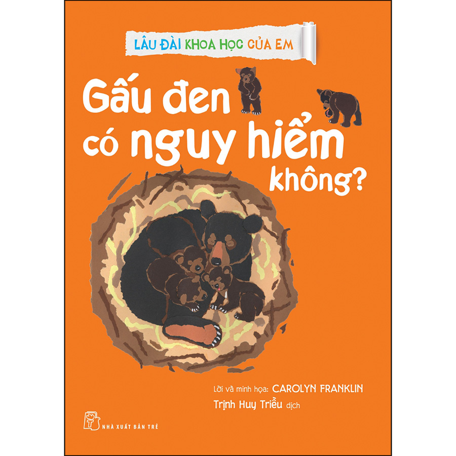 Gấu Đen Có Nguy Hiểm Không?