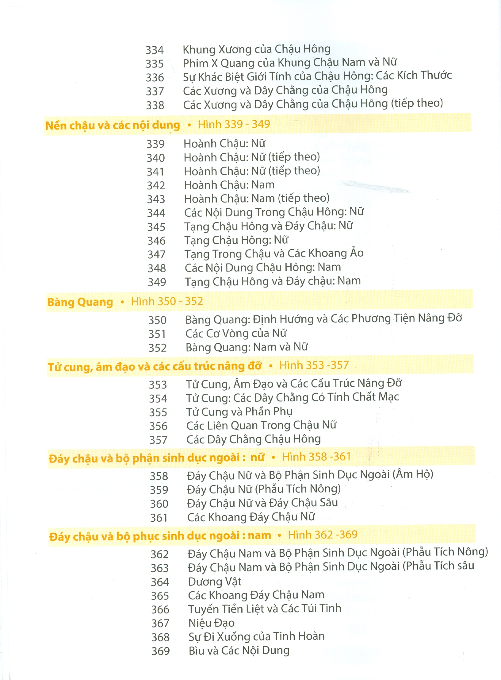 ATLAS GIẢI PHẪU NGƯỜI - In Lần Thứ IV (năm 2022) Theo Ấn Phẩm Lần Thứ VII Của Nxb Elsevier Có Sửa Chữa Và Bổ Sung (ATLAS OF HUMAN ANATOMY  Seventh Edition)