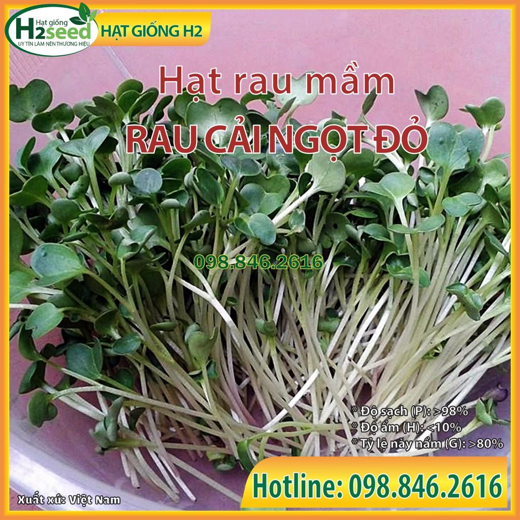 Gói 50g Hạt rau mầm rau cải ngọt đỏ - Hạt rau chất lượng cao, nảy mầm tốt