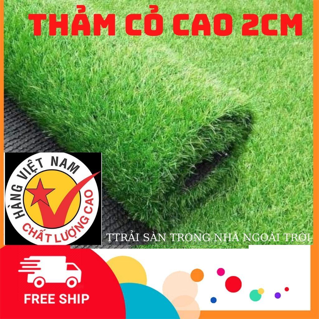 Thảm cỏ nhân tạo sân vườn cao 2cm combo 5m2