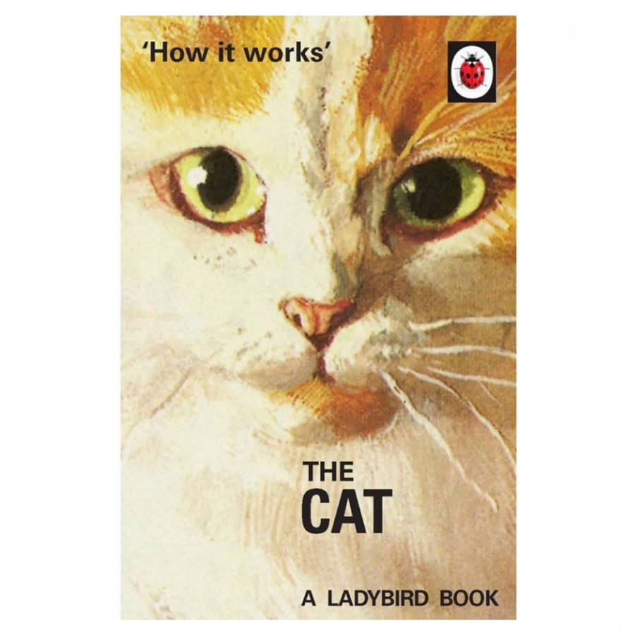 How It Works: The Cat