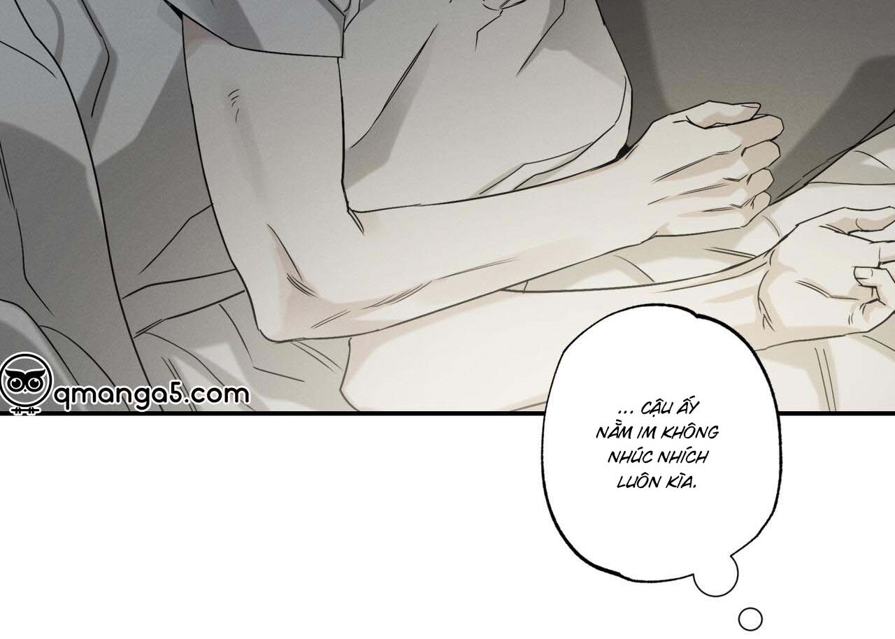 chàng giao pizza và gold palace chapter 41 46