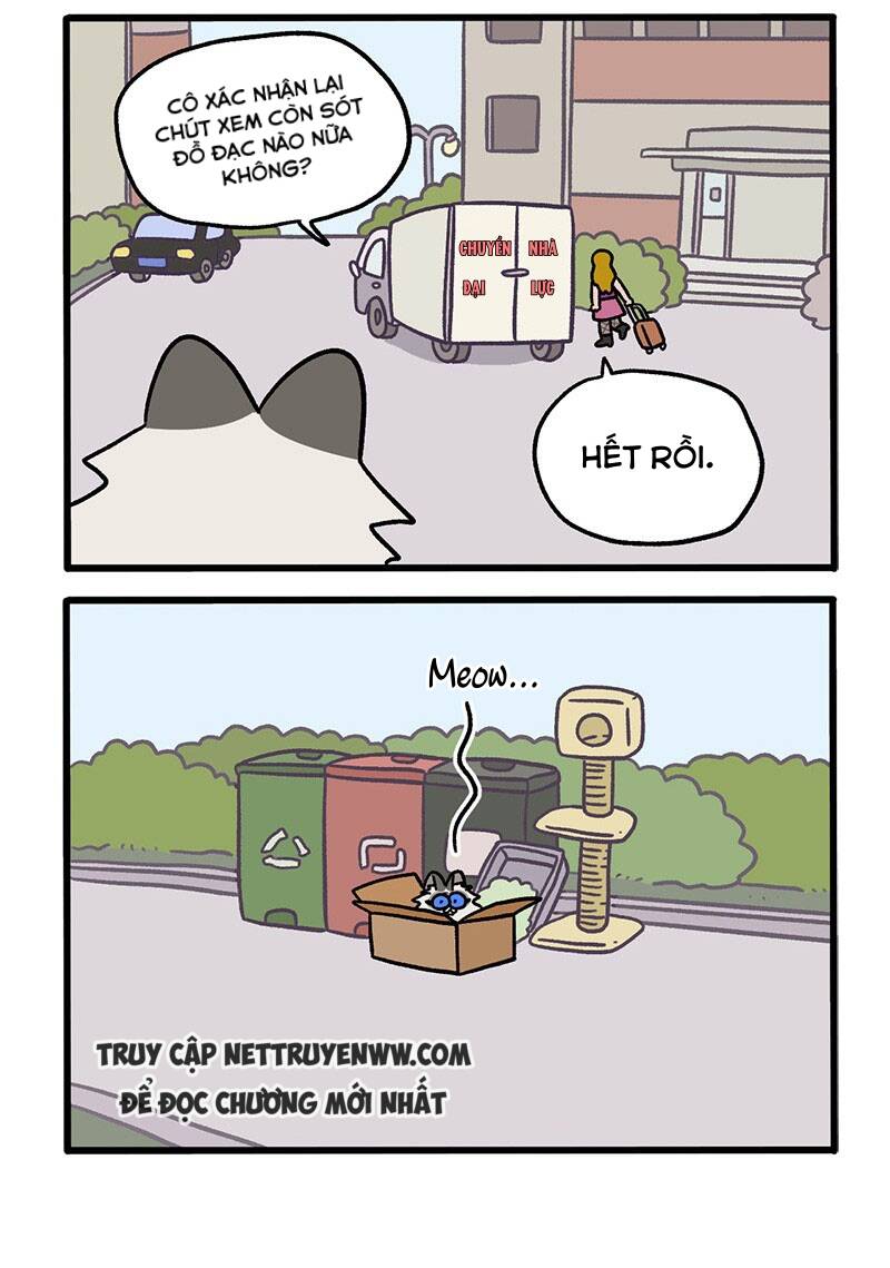 a mãn và mạch trà chapter 48 4