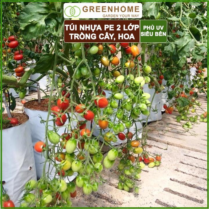 Bộ 10 Túi PE trồng cây, trồng rau, trồng hoa 20x40cm, 2 lớp, chống UV tiện lợi, độ bền 1,5 năm